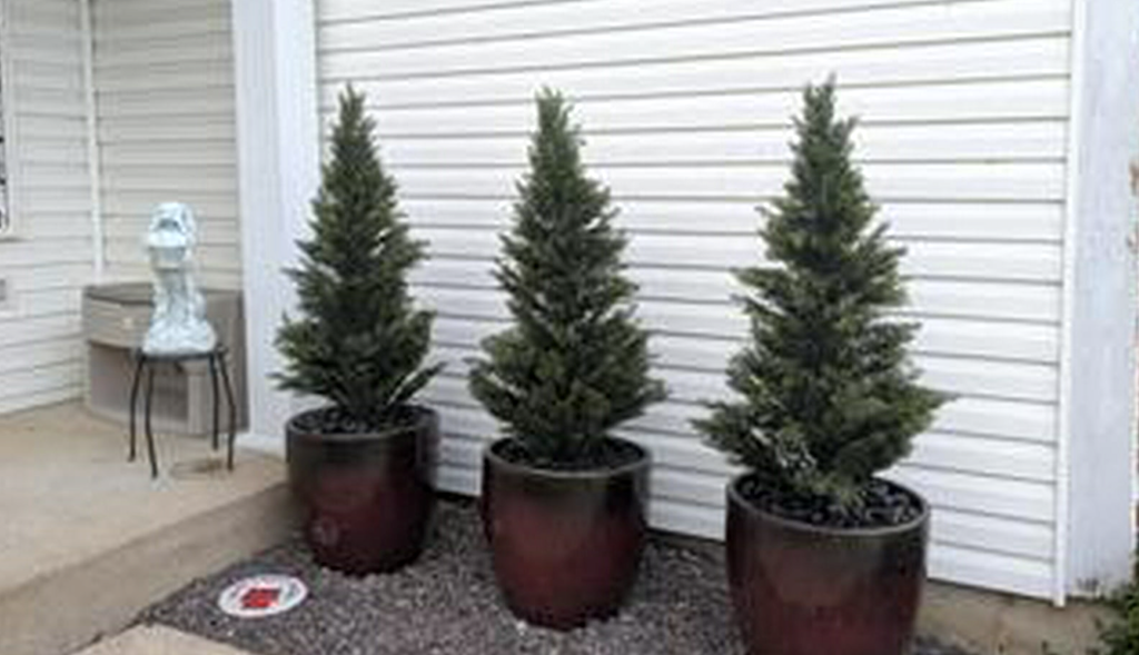 TWO Artificial Cedar Trees Just $39.99 Shipped on Walmart.com