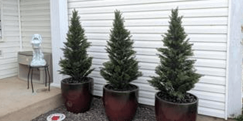 TWO Artificial Cedar Trees Just $39.99 Shipped on Walmart.com