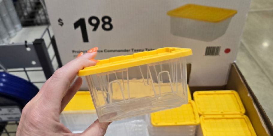 Our Favorite Lowe’s Teeny Totes Now Come in Clear