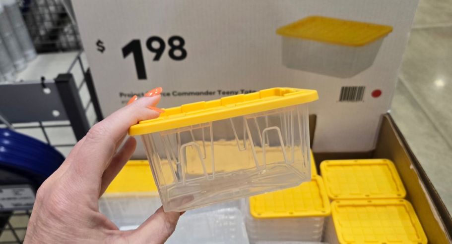 Our Favorite Lowe’s Teeny Totes Now Come in Clear