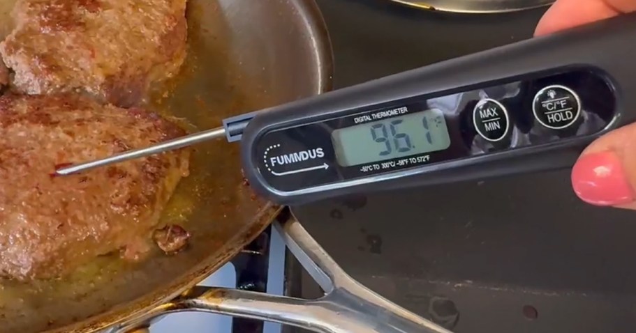 Digital Meat Thermometer Only $4.99 on Amazon (Reg. $10)