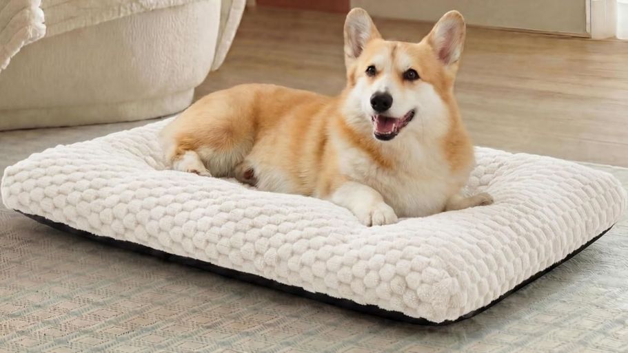 Bedsure Bubble Fleece Dog Crate Bed Just $14.99 on Amazon (Reg. $30)