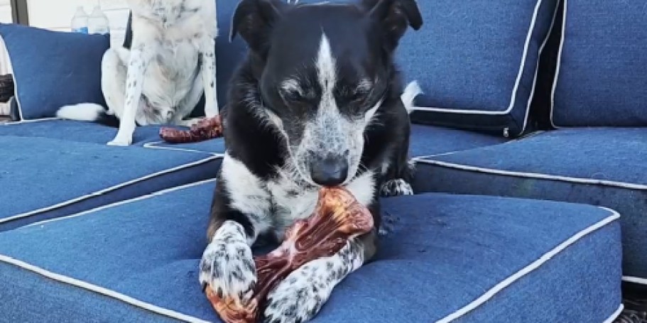 Bacon-Flavored Dog Chew Toy 3-Pack Only $7.99 Shipped w/ Amazon Prime