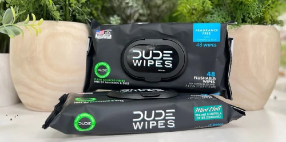 TWO Packs of Dude Wipes Only $4 on Amazon (Reg. $12)