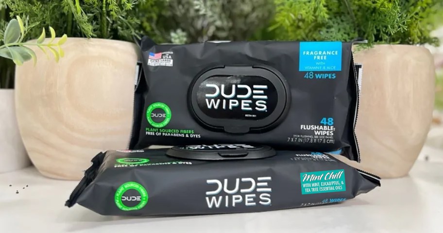 dude wipes in a stack near potted plants