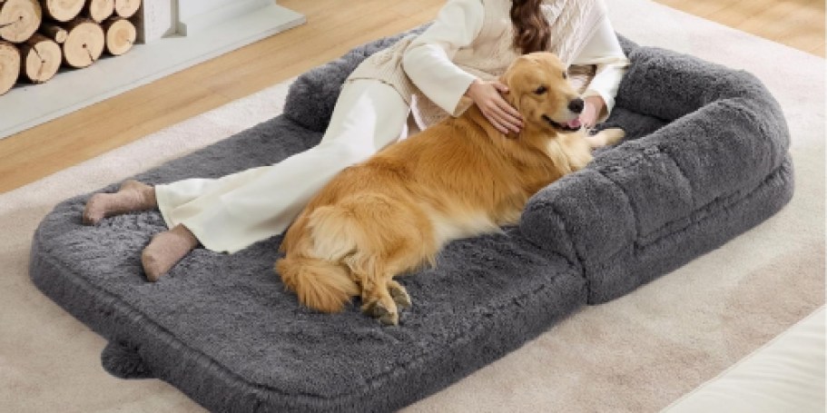 Human-Sized Dog Beds from $67 Shipped (Reg. $130)