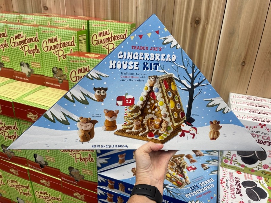 a gingerbread house kit