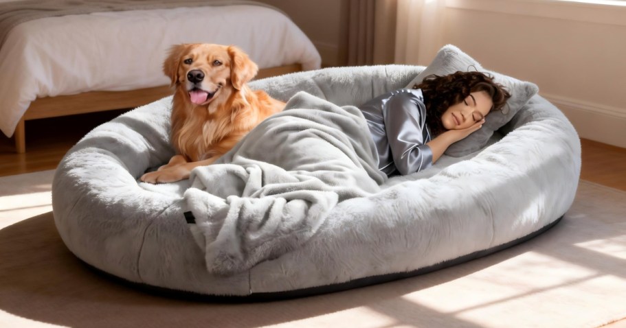 Human-Sized Dog Bed Just $49.99 Shipped on Amazon or Walmart.com (Reg. $100)
