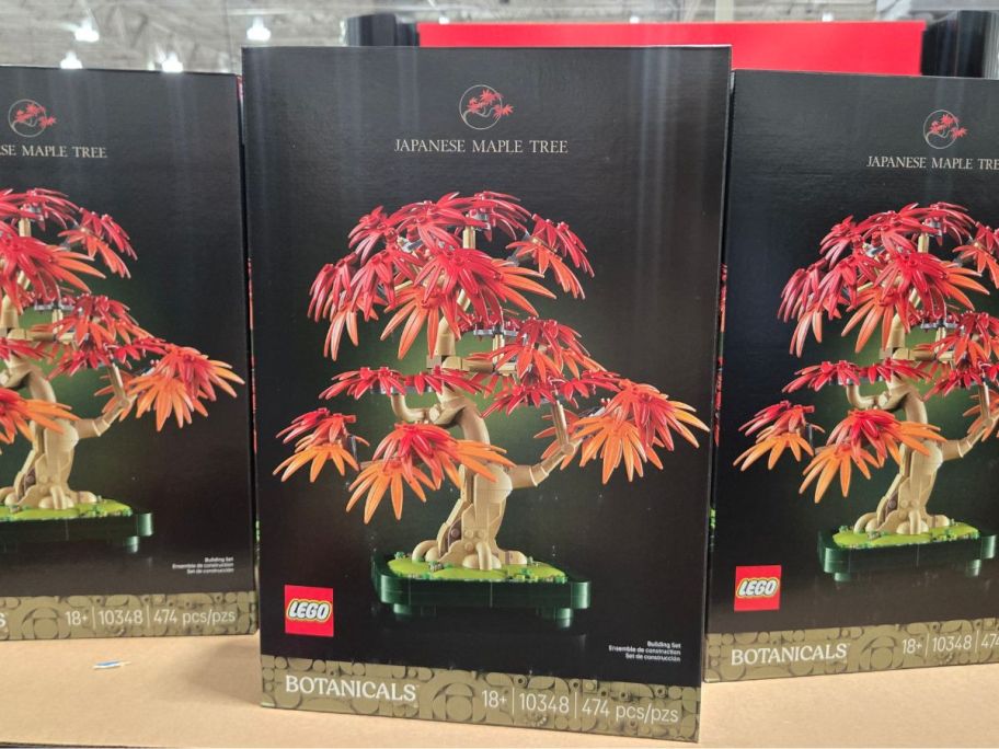 LEGO Japanese Maple Botanical boxes on shelf in store