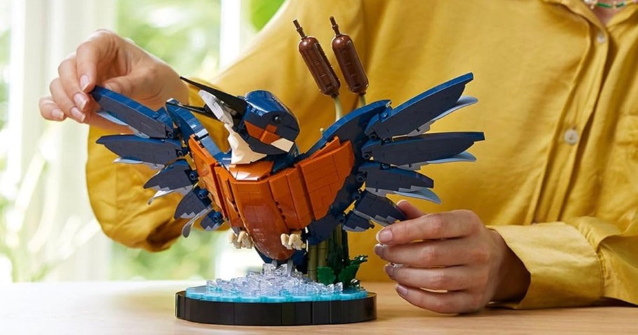 person holding lego kingfisher bird set