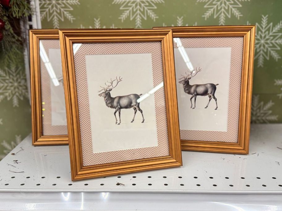Framed Reindeer Tabletop Décor on shelf in store