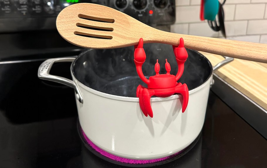 Up to 50% Off OTOTO Kitchen Accessories on Amazon (Fun Gift Ideas From $9.95)