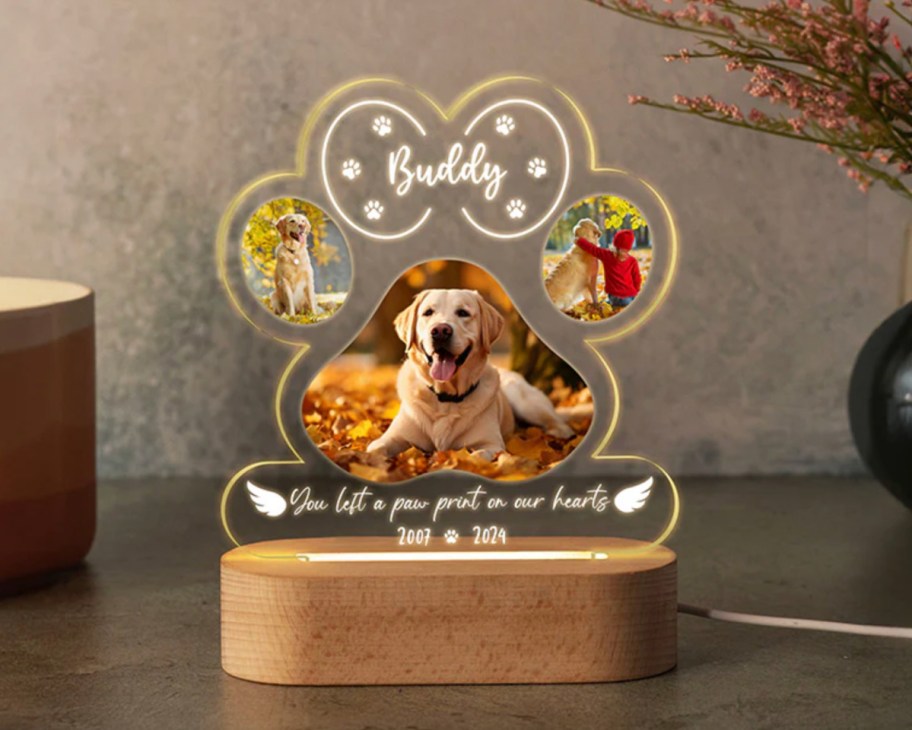 dog picture in paw print shaped night light
