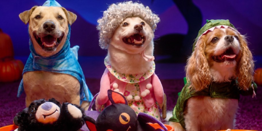 NEW Pet Halloween Costumes Dropped at Petco