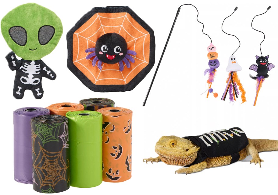 three pet toys, waste bags, and beared dragon in costume