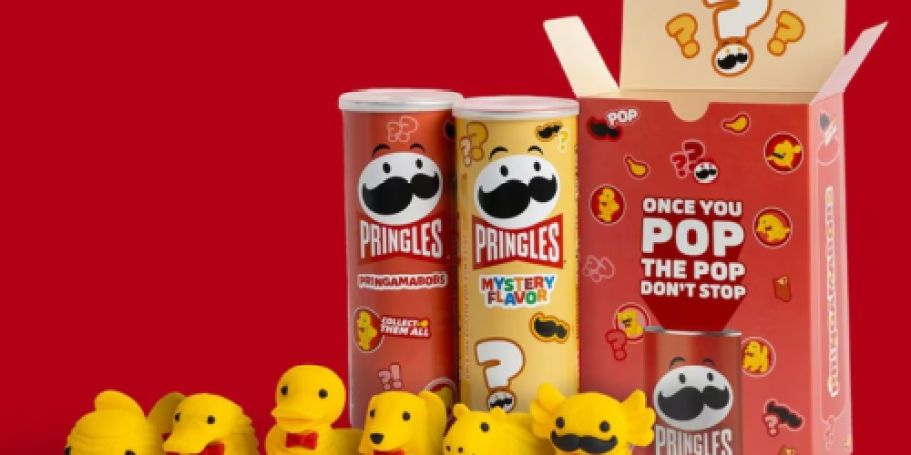 Pringles Mystery Boxes w/ Collectible Characters Available NOW!