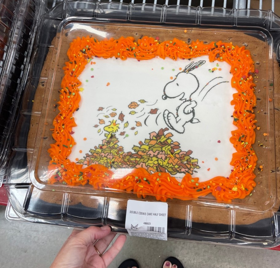 1/2 sheet double layer cookie cake decorated with snoopy jumpin in leaves graphic