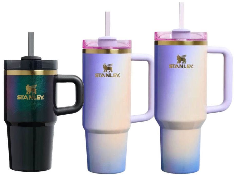 stanley wicked tumblers