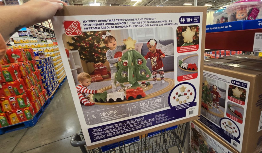 hand holding step 2 christmas tree box in cart