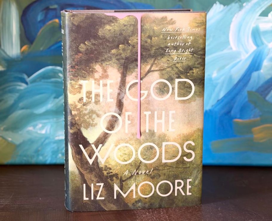 the god of the woods book on wood table in front of artwork