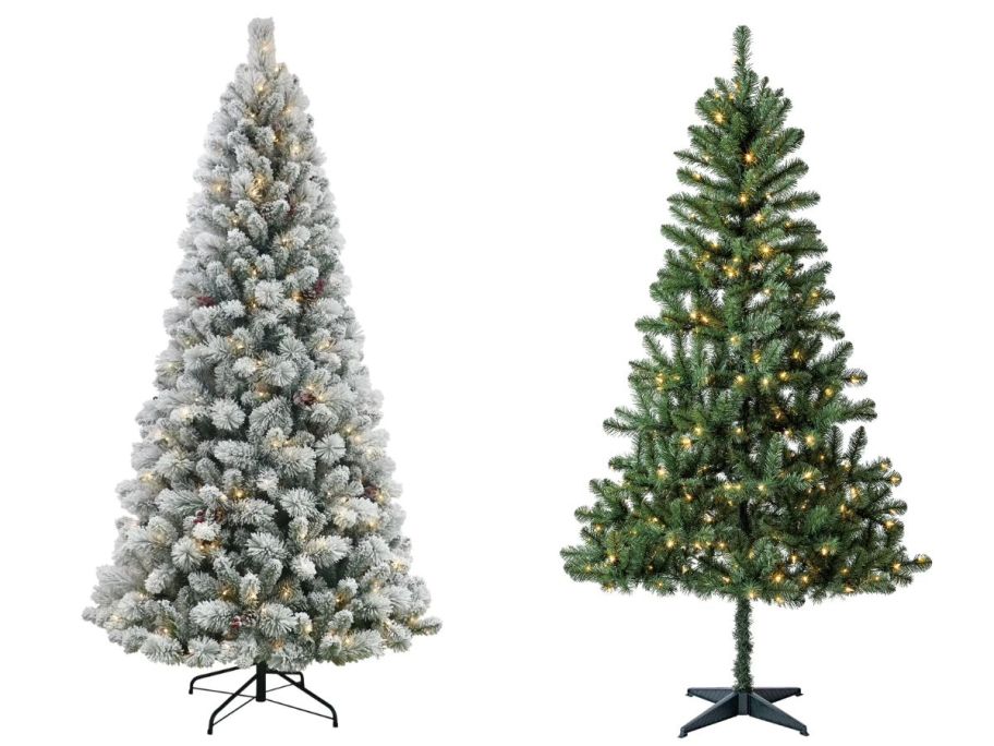 two christmas trees