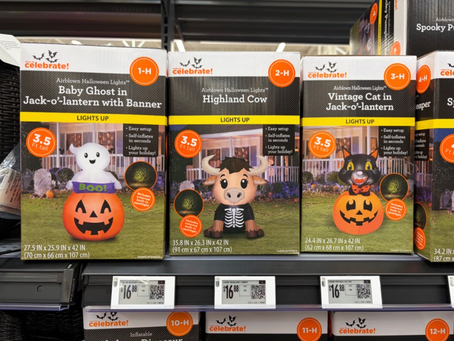 A shelf display of Way to Celebrate Halloween inflatable boxes featuring a baby ghost in a pumpkin, a Highland cow, and a vintage cat in a pumpkin.