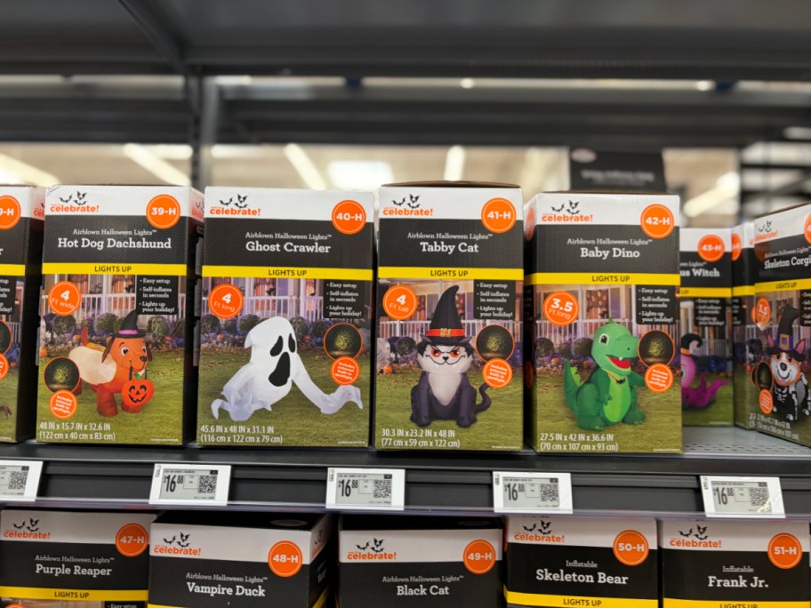 A store shelf of Way to Celebrate Halloween inflatable boxes featuring a Hot Dog Dachshund, a Ghost Crawler, a Tabby Cat, and a Baby Dino.