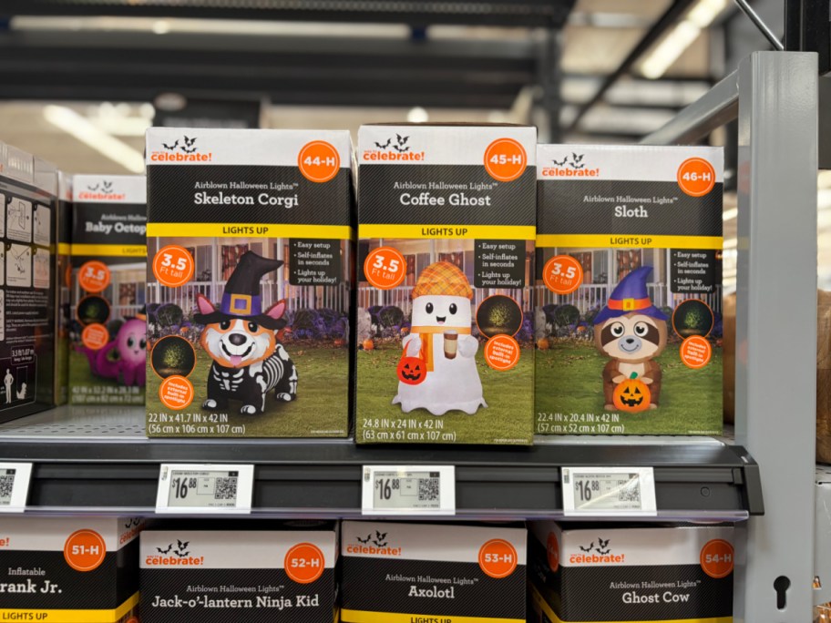 A store shelf of Way to Celebrate Halloween inflatable boxes featuring a Skeleton Corgi, a Coffee Ghost, and a Sloth.