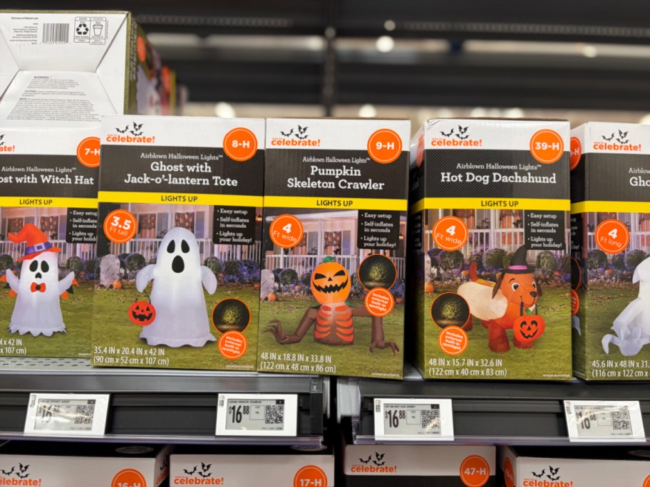 A store shelf of Way to Celebrate Halloween inflatable boxes featuring a ghost with a Jack-o'-lantern tote, a pumpkin skeleton crawler, and a hot dog dachshund.