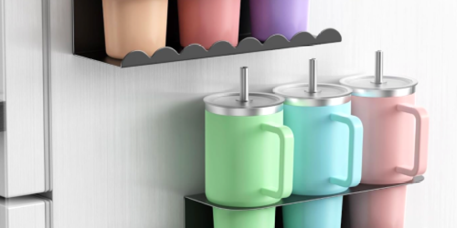 Magnetic Water Bottle Organizer 2-Pack Only $9.99 on Amazon (Holds 6 Stanley Tumblers!)