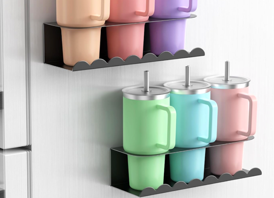 water bottle holders