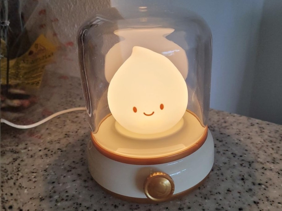 an led nightlight that looks like a campfire flame