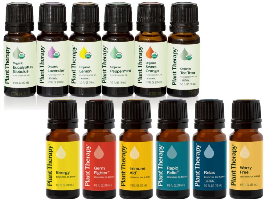 12 bottles of Plant Therapy essentials oils