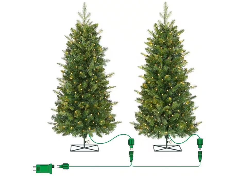 3ft Grand Duchess Twinkling Balsam Fir LED Pre-Lit Artificial Tree 2-Pack