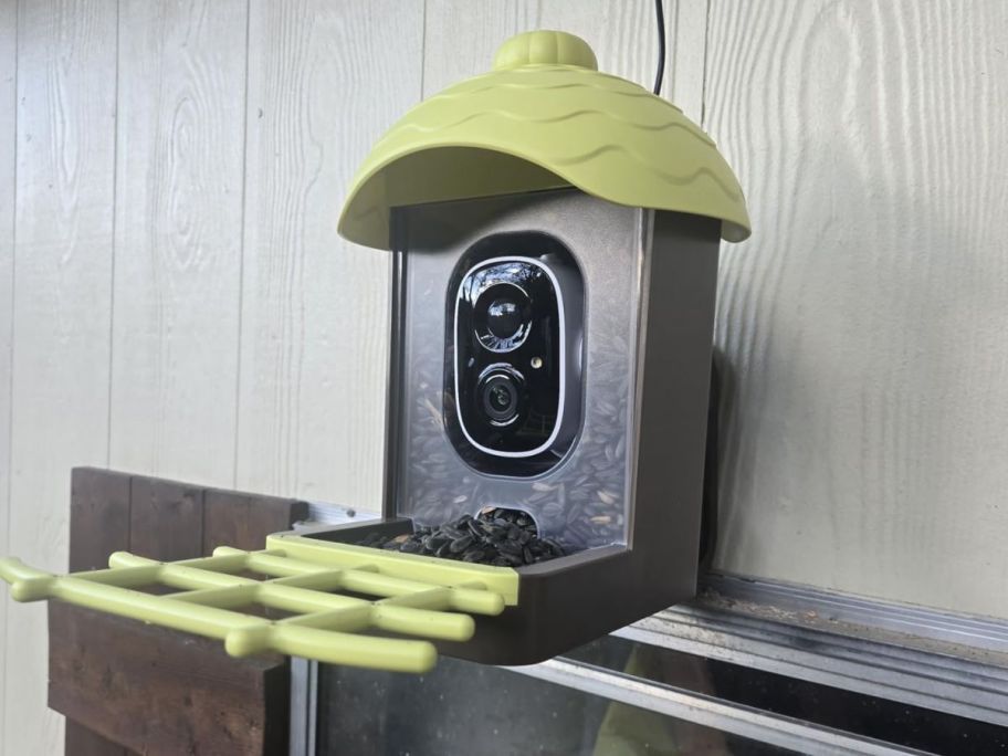 Smart Bird Feeder outside