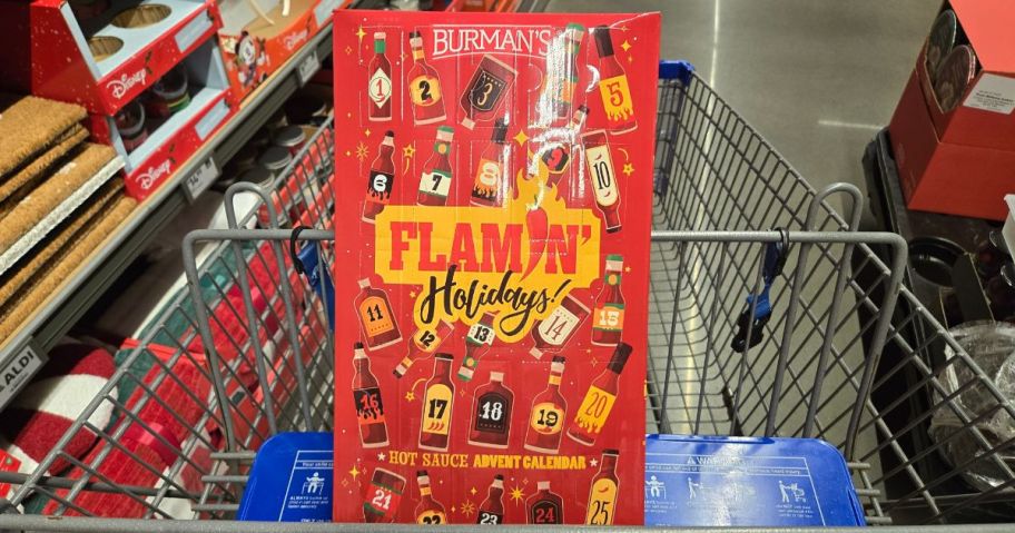 Aldi Flamin' Holidays