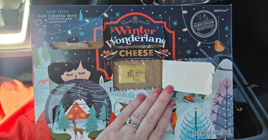 Aldi Winter Wonderland Cheese