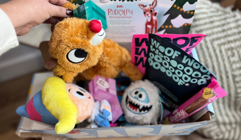 Christmas themed dog toys, and treats inside bark box