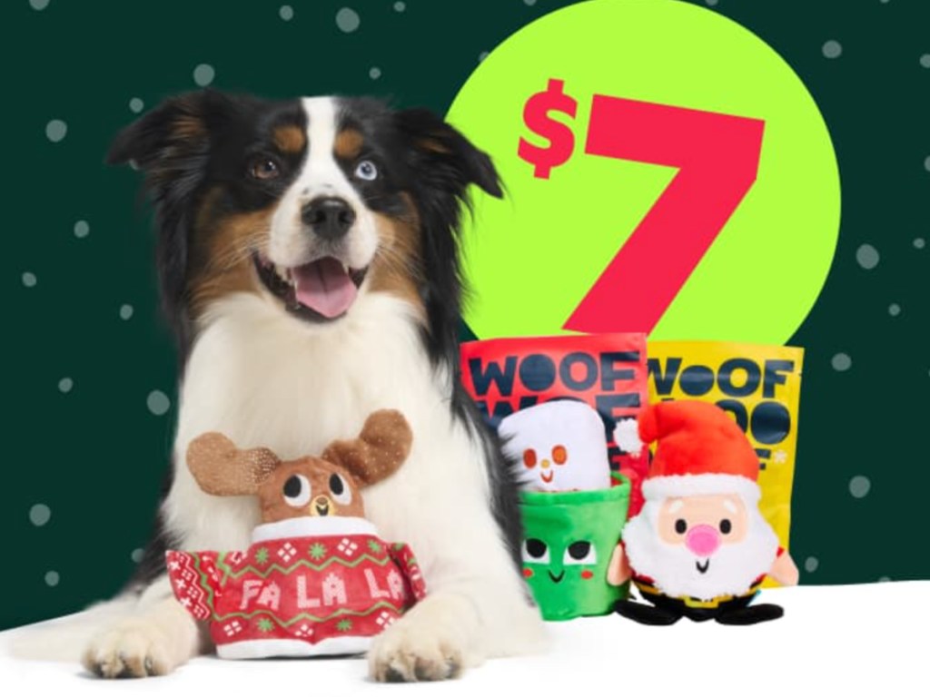 Christmas themed barkbox