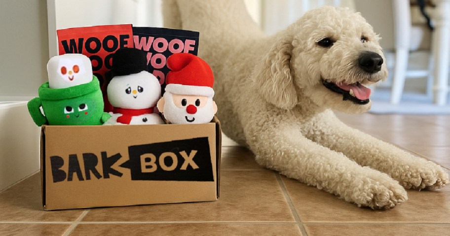 christmas themed barkbox next to labradoodle dog