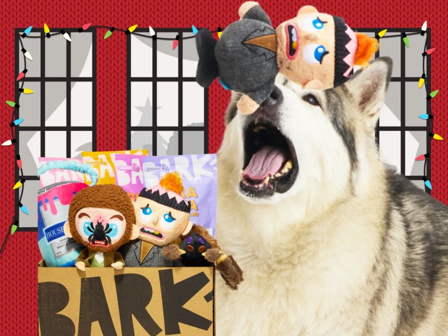 husky with a home alone themed barkbox