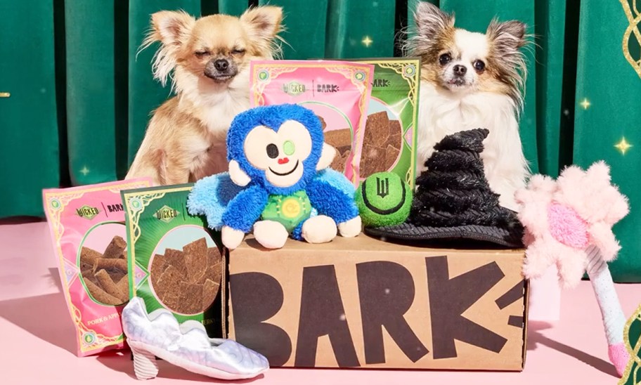 two dogs with a Wicked themed Barkbox