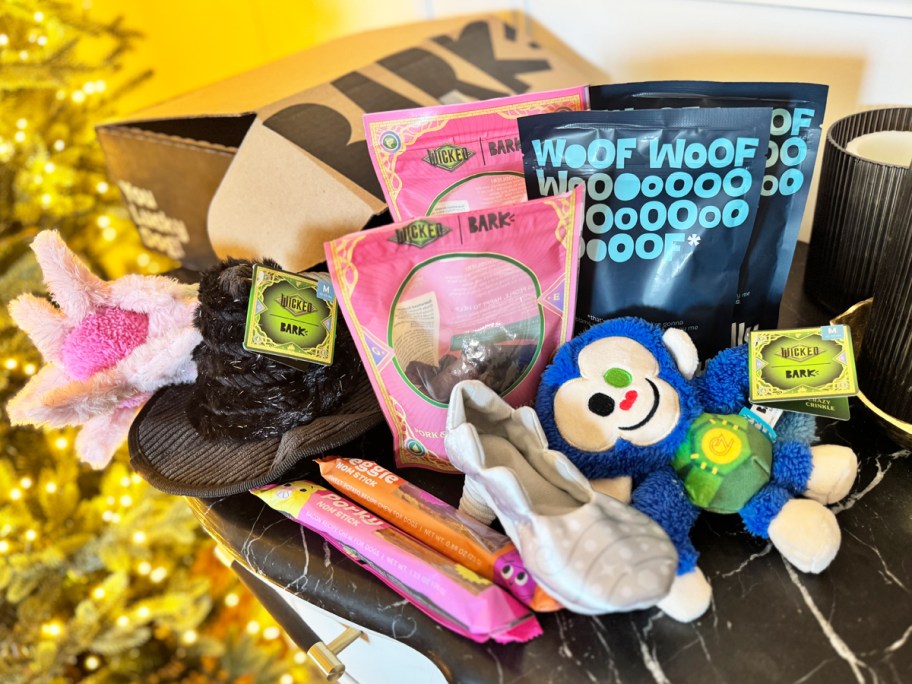 wicked themed dog toys and treats on a table