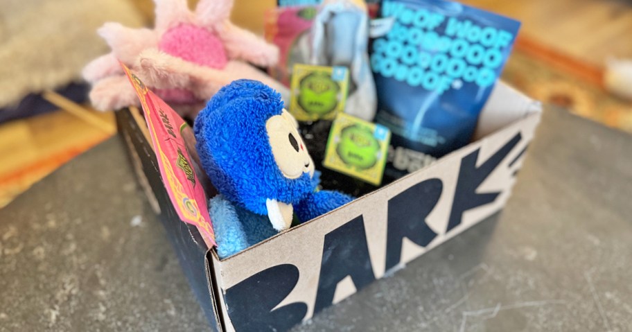 barkbox filled with Wicked themed toys and treats