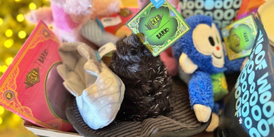 This Limited-Edition Wicked BarkBox Comes With Extra Toys, Treats, and Oz Magic