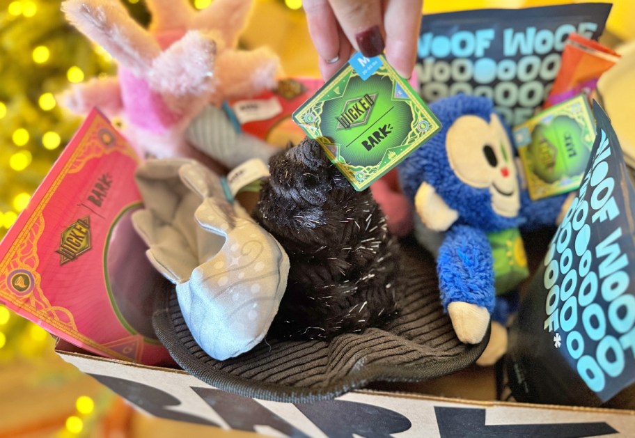 barkbox filled with Wicked themed toys and treats