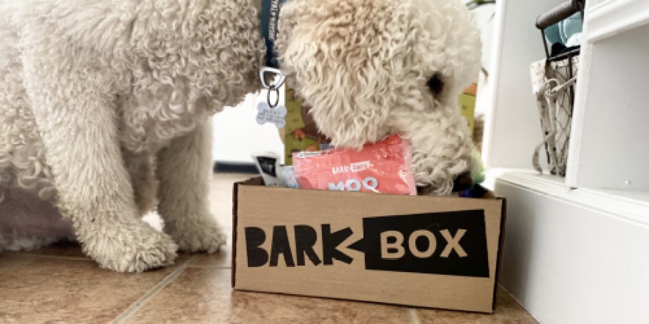 Ends Tonight! BarkBox ONLY $5 Shipped + Year of Free Chews (Best Deal of the Year!)
