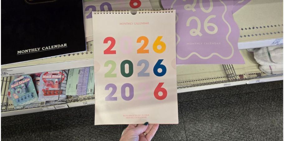 New Target Bullseye Finds from $3: Planners, Wellness Journals, Calendars, & More
