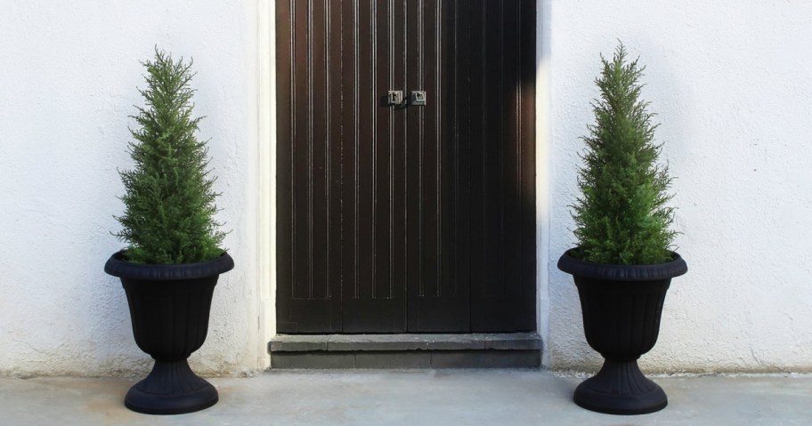 potted artificial cedar trees on each side of a wooden door