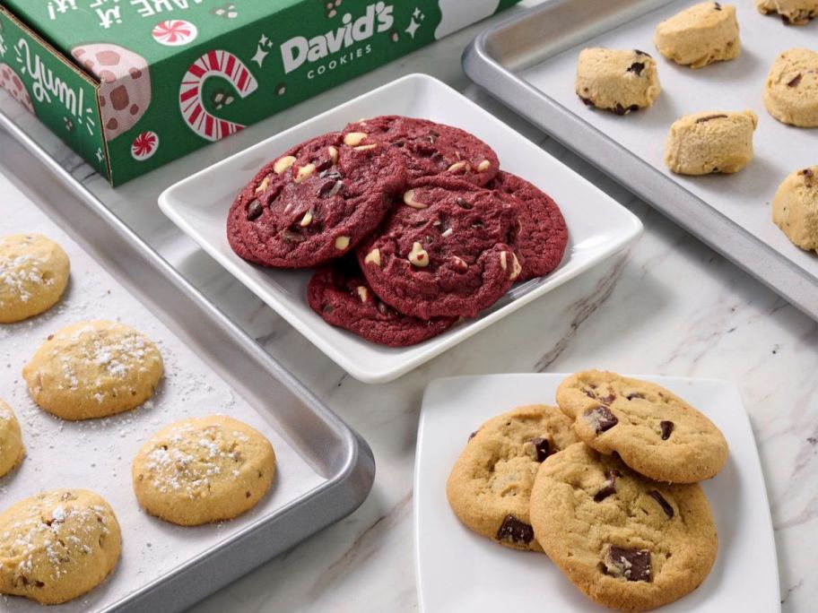 David's Cookies Ready To Bake Cookie Dough